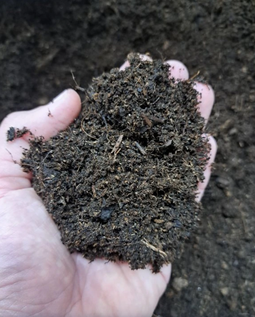 pestebni substrat microgreens